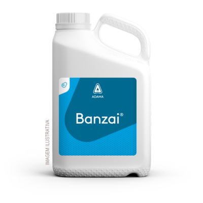 Banzai — ADAMA