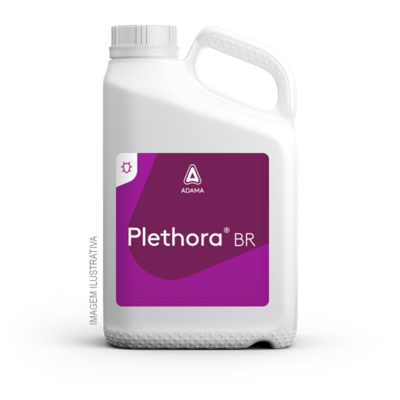 Plethora — ADAMA