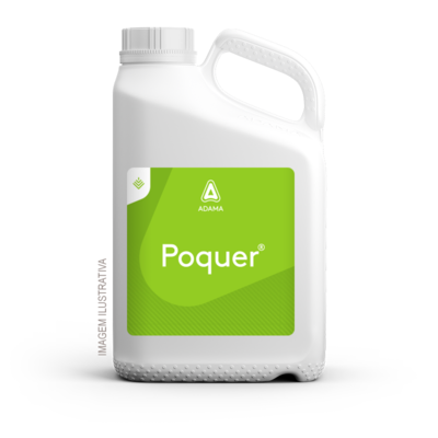 Poquer — ADAMA