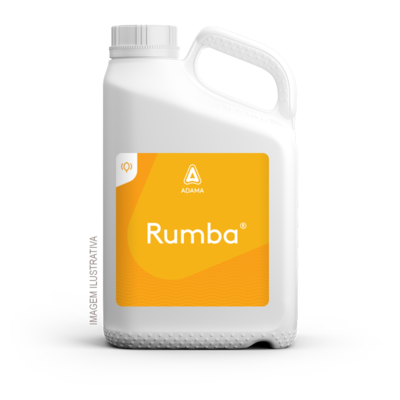 Rumba — ADAMA