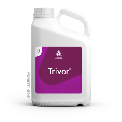Trivor — ADAMA